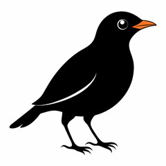 Myna Black silhouette
