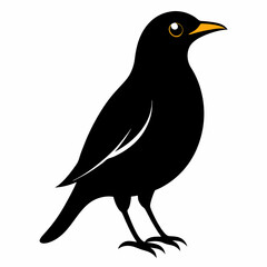 Myna Black silhouette