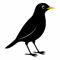 Myna Black silhouette