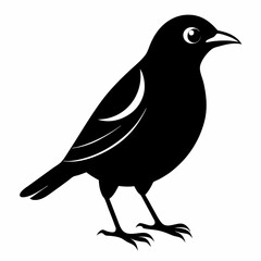 Myna Black silhouette