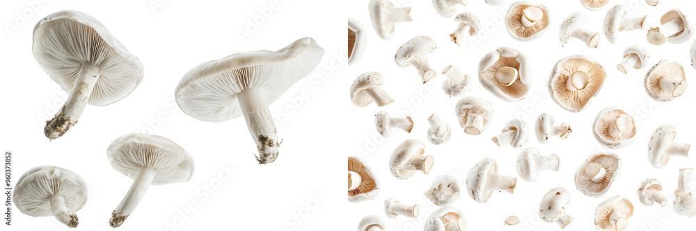Aufkleber isolated mushroom group floating in the air on a background of flying ingredients and fungi.