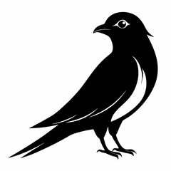 Fototapeta premium Cuckoo Black silhouette