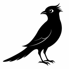 Cuckoo Black silhouette