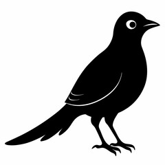 Cuckoo Black silhouette