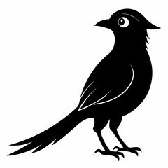 Cuckoo Black silhouette