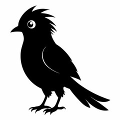 Cuckoo Black silhouette