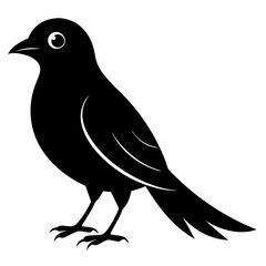 Cuckoo Black silhouette