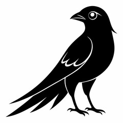 Cuckoo Black silhouette