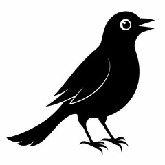 Cuckoo Black silhouette