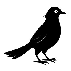 Cuckoo Black silhouette