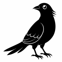 Cuckoo Black silhouette