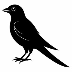 Cuckoo Black silhouette