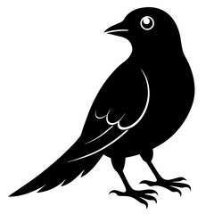 Cuckoo Black silhouette