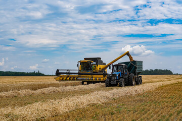 Harvesting wheat with combine and tractor in wide open fields. A combine harvester and tractor work...
