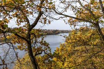 Autumn landscape near the river