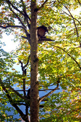 Maçahel, an important region for organic honey production, Artvin, Turkey