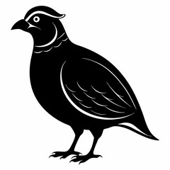 Quail Black silhouette