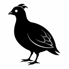 Quail Black silhouette