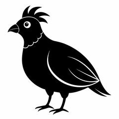 Quail Black silhouette