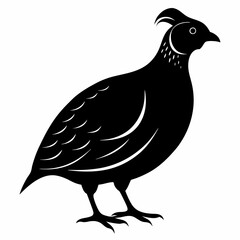 Quail Black silhouette