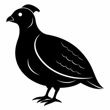 recommend clip art: Quail Black silhouette