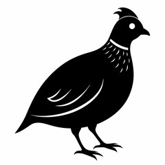 Quail Black silhouette