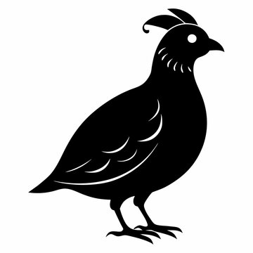 recommend clip art: Quail Black silhouette