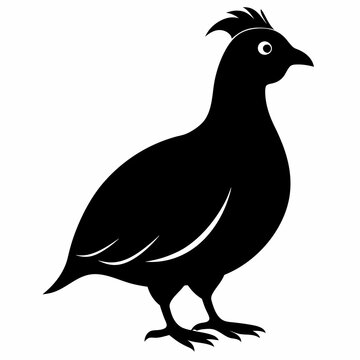 recommend clip art: Quail Black silhouette