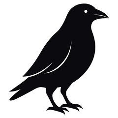 Fototapeta premiumEuropean starling bird icon vector illustration. 