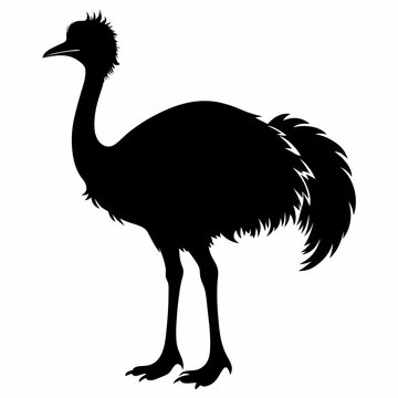 recommend clip art: Emu Black silhouette
