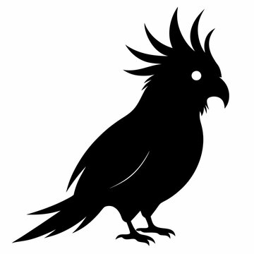 recommend clip art: Cockatiel Black silhouette