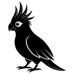 Cockatiel Black silhouette