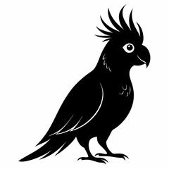 Cockatiel Black silhouette