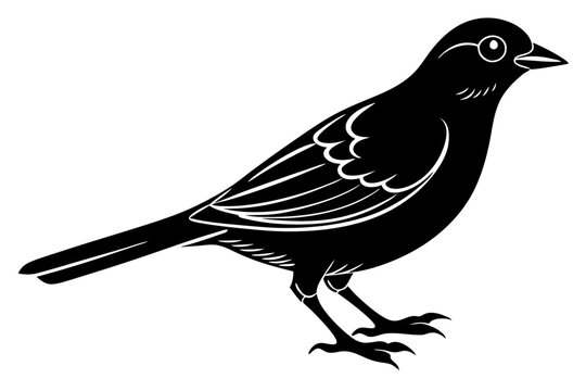 recommend clip art: Bird silhouette vector illustration 