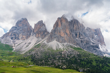 Passo Sella Città dei Sassi, Sassolungo (Sasslong), Dolomites. Rocky mountain peaks and green grass with flowers