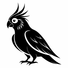 Obraz premium Cockatiel Black silhouette