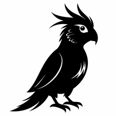 Fototapeta premium Cockatiel Black silhouette