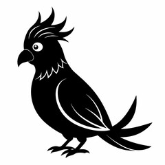 Cockatiel Black silhouette