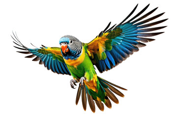 Fototapeta premium Parakeet in mid-flight, wings outstretched, isolate against a transparency background, capturing the vibrant hues of its feathers, detailed feathers texture, natural light, high-resolution