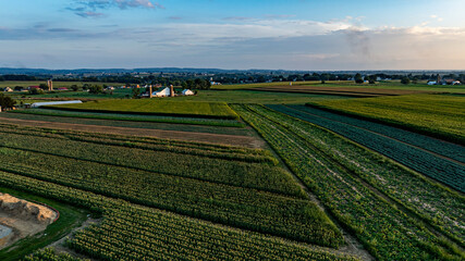 Fields stretch across the landscape with rows of crops flourishing in the soft light of the evening. Farm buildings dot the horizon against a colorful sky, creating a picturesque rural setting.