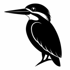 Kingfisher Black silhouette