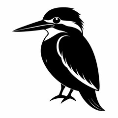 Fototapeta premium Kingfisher Black silhouette