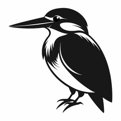 Fototapeta premium Kingfisher Black silhouette