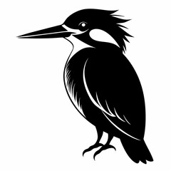 Kingfisher Black silhouette