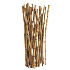 A Bunch of Dried Bamboo