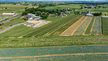 A sweeping view of vibrant farmland showcases neatly arranged crops, a construction site, and a small town nearby under a bright blue sky, highlighting the agricultural beauty of this rural area.
