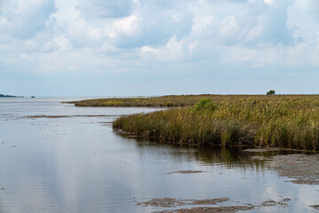 Marsh area at the Currituck Banks Estuaine maritime forest hiking area in the Outer Banks of North Carolina