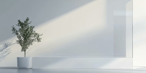 A plant in a white pot next to a white