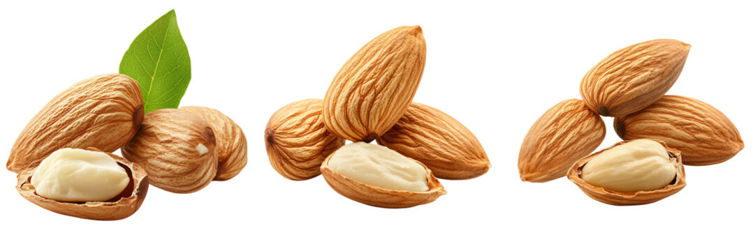 Set of A single almond nut (Kath Badam) in sharp focus on transparent background