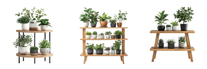 Set of A sleek, modern indoor ladder shelf desk with a small plant stand featuring various indoor plants Isolated on Transparent Background